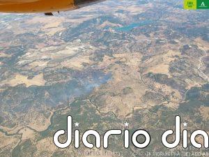 Extinguido el incendio forestal declarado en Morón de la Frontera (Sevilla)