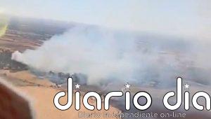 Extinguido el incendio forestal en el zoológico Mundo Park de Guillena (Sevilla) tras reabrir al público