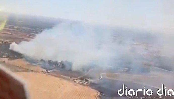 Extinguido el incendio forestal en el zoológico Mundo Park de Guillena (Sevilla) tras reabrir al público