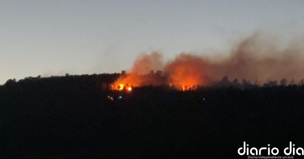 Francia trata de combatir distintos incendios forestales que han arrasado ya 8.700 hectáreas