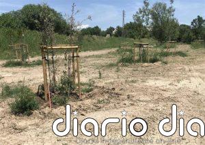 Gaudes replica a Vox que la recuperación de la Olmeda de Torre Ramona no afecta a los solares de aparcamiento