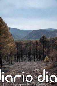Gobierno C-LM espera plantear "pronto" soluciones para el sector turístico afectado por los incendios