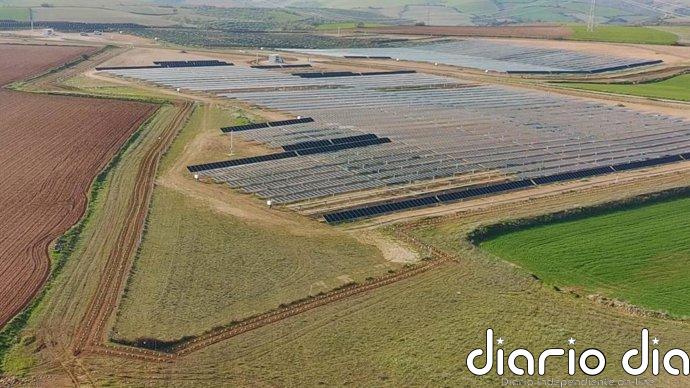 Grupo Bimbo se alía con Repsol en un acuerdo a largo plazo para que le sumistre energía renovable