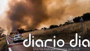 Incendios arrasan millones de hectáreas en Europa y Norteamérica