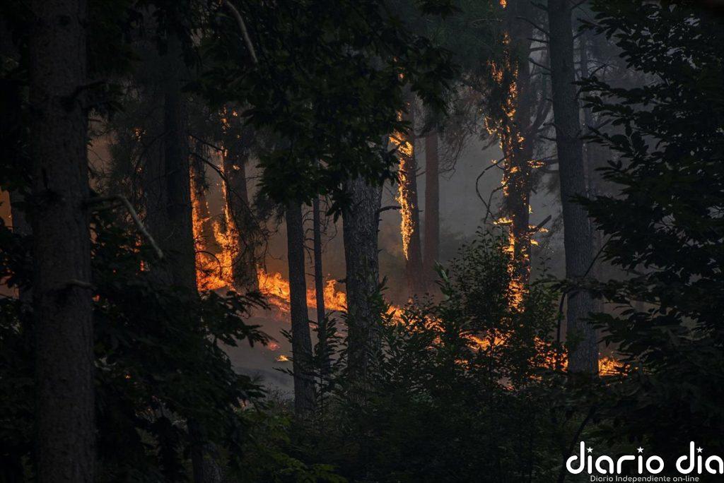 Incendios en España hoy, en directo: última hora en Madrid, Ávila y Castellón, focos activos y evacuaciones