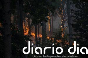 Incendios en España hoy, en directo: última hora en Madrid, Ávila y Castellón, focos activos y evacuaciones