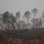 Interior lanza un EsAlert para confinar Santa María de la Alameda ante el avance del incendio