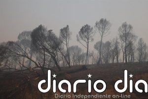 Interior lanza un EsAlert para confinar Santa María de la Alameda ante el avance del incendio