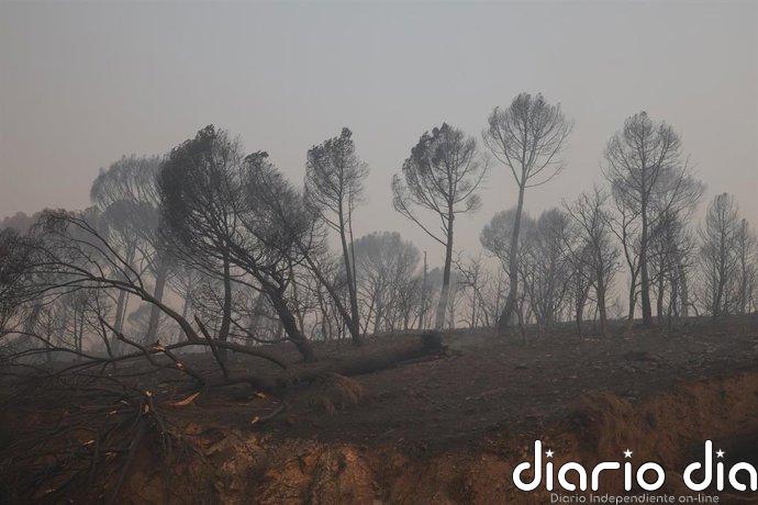 Interior lanza un EsAlert para confinar Santa María de la Alameda ante el avance del incendio