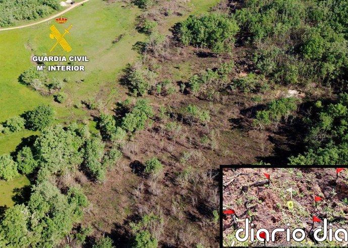 Investigado un hombre de 70 años como autor de un incendio forestal en Valderredible