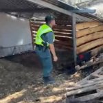 Investigado un trabajador de un alojamiento rural por el incendio forestal de Grazalema (Cádiz)