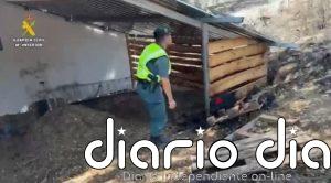 Investigado un trabajador de un alojamiento rural por el incendio forestal de Grazalema (Cádiz)