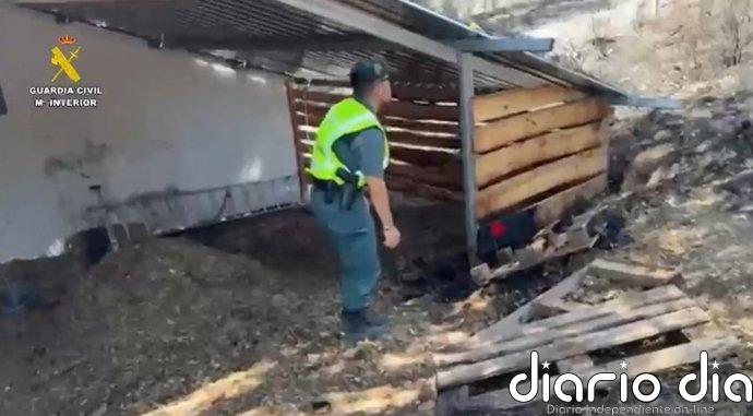 Investigado un trabajador de un alojamiento rural por el incendio forestal de Grazalema (Cádiz)
