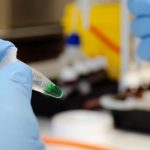 Investigadores andaluces reutilizan el alga asiática invasora para mejorar piensos de acuicultura