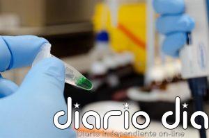 Investigadores andaluces reutilizan el alga asiática invasora para mejorar piensos de acuicultura