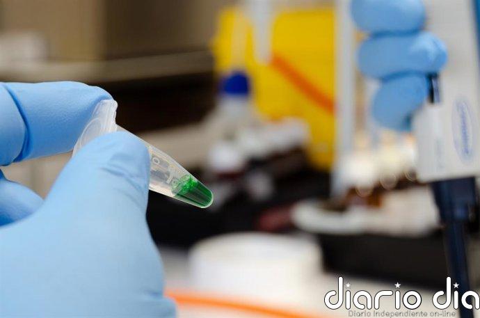 Investigadores andaluces reutilizan el alga asiática invasora para mejorar piensos de acuicultura