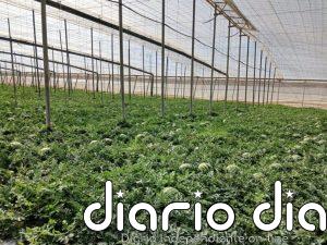 Jesuitas reclaman soluciones ante el impacto del calor en los trabajadores de los invernaderos de Almería