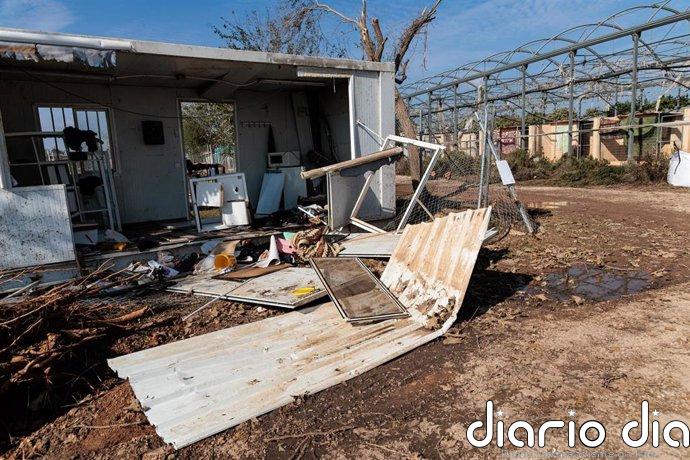 La alcaldesa de Carlet dice que a partir de las 17 del 29O cortaron puente y avisaron a vecinos para subir a pisos altos