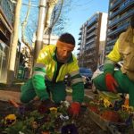La ciudad de Jaén sumará más de 700 nuevos árboles antes de final de año