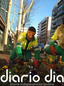 La ciudad de Jaén sumará más de 700 nuevos árboles antes de final de año