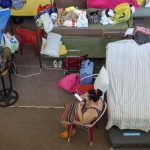 La Comunidad pone en marcha un servicio especial de Bibliobús en cuatro municipios que acogen a afectados por incendios