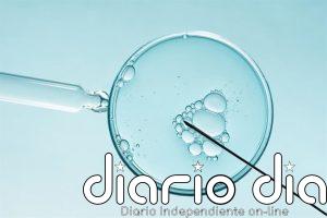 La fecundación 'in vitro' alcanza sus mejores resultados: hasta un 68% de éxito en tres ciclos