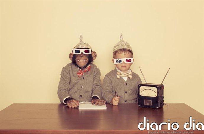 ¿La geometría es innata Un estudio encuentra sorprendentes similitudes entre niños y monos