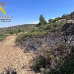 La Guardia Civil de Teruel investiga a una persona como presunta autora de un incendio forestal, en Valdealgorfa
