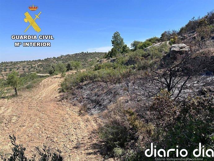 La Guardia Civil de Teruel investiga a una persona como presunta autora de un incendio forestal, en Valdealgorfa
