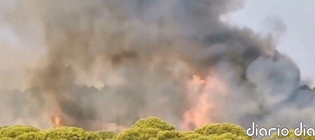 La Junta activa el nivel 1 de emergencia por un incendio forestal próximo a Islantilla Golf en Lepe (Huelva)