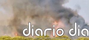 La Junta activa el nivel 1 de emergencia por un incendio forestal próximo a Islantilla Golf en Lepe (Huelva)