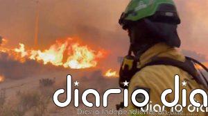 La Junta apunta al tendido eléctrico como el posible origen del incendio forestal en Los Gallardos (Almería)