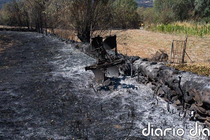 La Junta cifra en un 64,7% los fuegos con origen en la acción humana entre los últimos 17 incendios activos