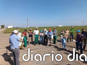 La Junta da a conocer en Lebrija (Sevilla) sus ensayos de riego y fertirrigación sostenible del tomate de industria