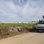 La Junta de Andalucía declara área en alerta por virus del Nilo occidental el municipio de Constantina (Sevilla)