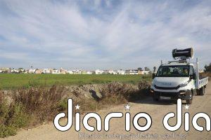La Junta de Andalucía declara área en alerta por virus del Nilo occidental el municipio de Constantina (Sevilla)