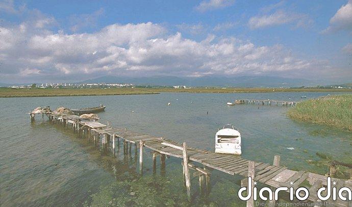 La Junta destinará casi 2,4 millones de euros a renaturalizar el río Palmones en Los Barrios (Cádiz)
