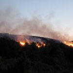 La labor de los medios aéreos y las cuadrillas frena el avance del incendio de Loporzano, asegura Biendicho