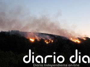 La labor de los medios aéreos y las cuadrillas frena el avance del incendio de Loporzano, asegura Biendicho