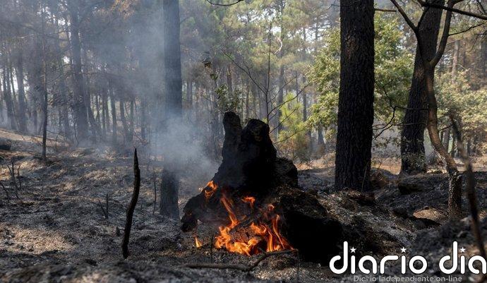 La mejora de la situación de los grandes incendios activos en España permite el fin de las restricciones en varias zonas