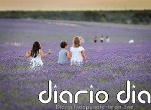 La mitad de los padres españoles publica fotos de sus hijos en internet, una práctica que se intensifica en verano