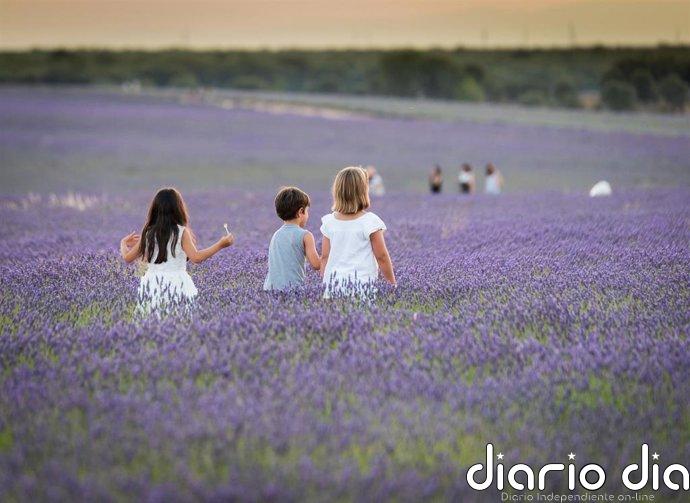La mitad de los padres españoles publica fotos de sus hijos en internet, una práctica que se intensifica en verano
