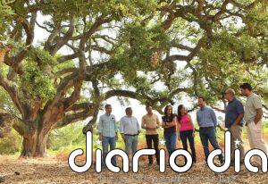 La nueva consejera de Medio Ambiente destaca que la recuperación hídrica ha tenido efectos "visibles" sobre Doñana