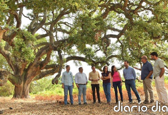 La nueva consejera de Medio Ambiente destaca que la recuperación hídrica ha tenido efectos "visibles" sobre Doñana