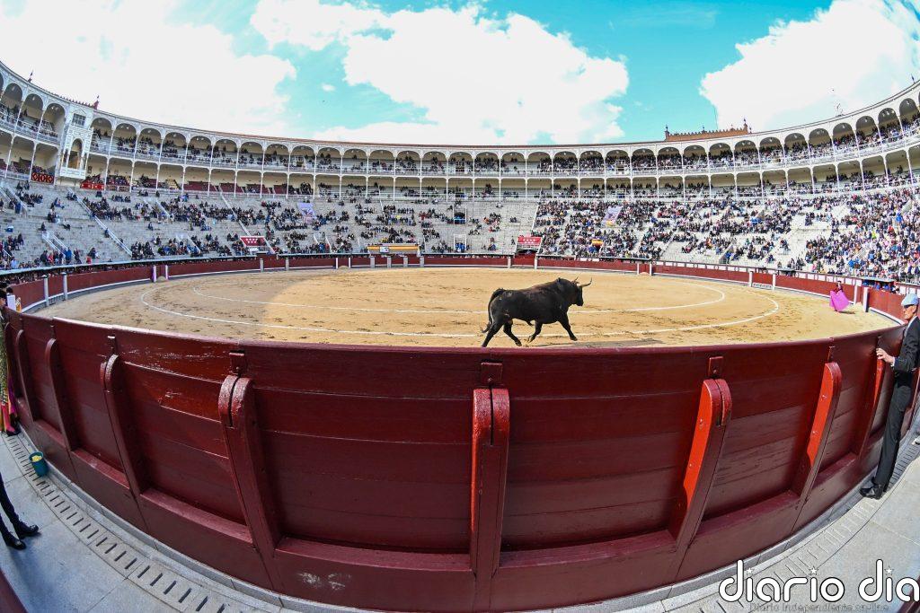 La ONU pide explicaciones a España por permitir la participación de los menores en espectáculos taurinos