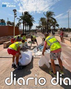 La Policía Local interviene en Playa de Palma más de 600 artículos destinados a la venta ambulante ilegal