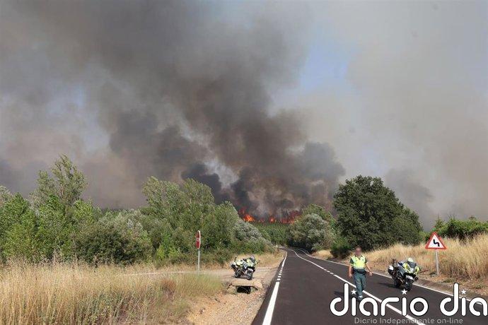 La provincia de León afronta la noche con tres incendios IGR 2 que "preocupan" y dejan más de 300 evacuados