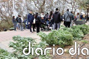La UAL recibe el premio internacional en responsabilidad social por su huerto inclusivo