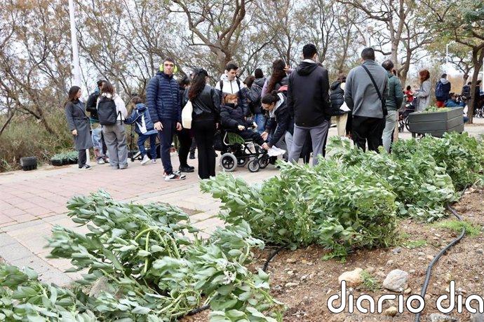 La UAL recibe el premio internacional en responsabilidad social por su huerto inclusivo