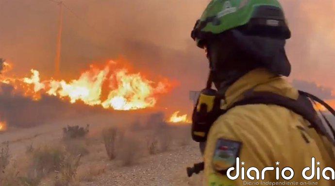 La UD Almería expresa su apoyo a los afectados por el incendio forestal de Los Gallardos